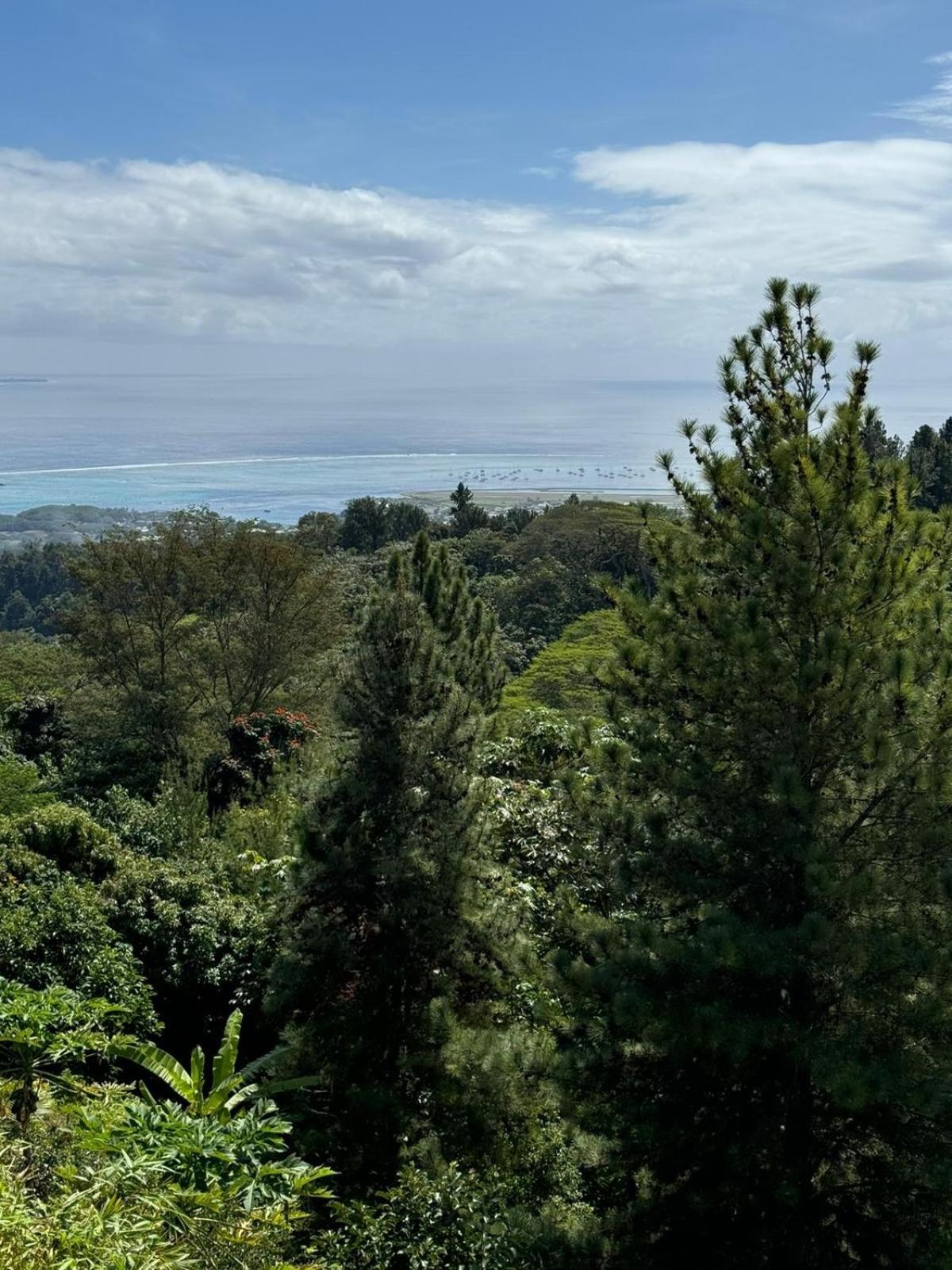 Studio Confort Avec Piscine Et Vue Tahiti Punaauia Exteriér fotografie